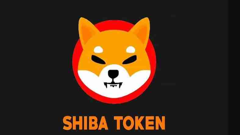 SHIB是什么币？一文全面介绍SHIB币项目